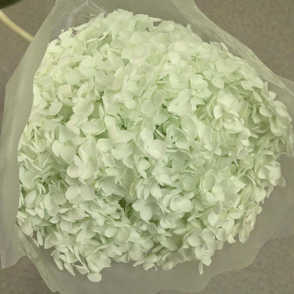 Phantom Flower: Single 20CM Preserved Hydrangea, Handmade Dried Bouquet for Decoration