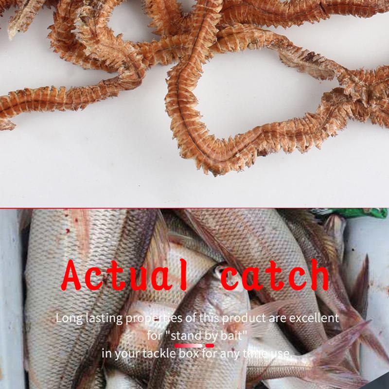 100% Натуральный Сушеный Морской Червь 10Г Рыболовные Приманки Для Уличной Рыбалки Турнир Соблазнительная Пища Для Ловли Карпа Для Зимней Подледной Морской Рыбалки
