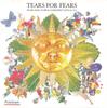 CD TEARS FOR FEARS - TEARS ROLL DOWN 3145109392 Fontana Non Japan Dance & Electronica Used