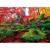 [Made In Japan] Beverly 600 Piece Jigsaw Puzzle Kyorinbo of Autumn Leaves (38 X 53cm) 600-026