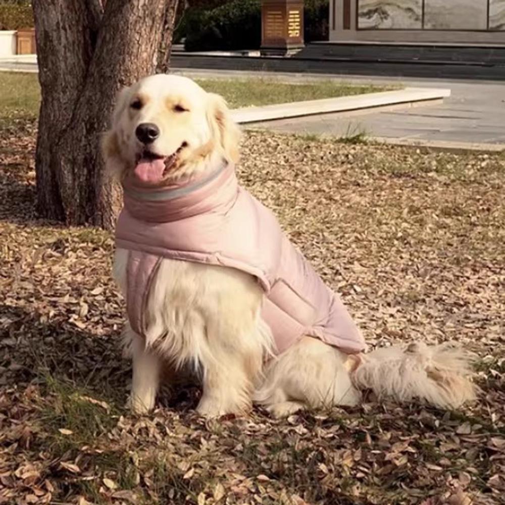 High Collar Dog Down Jacket Winter Waterproof Pet Clothes for Small Medium Dogs Greyhound Weimaraner Jacket Coat ubranie dla psa