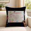 Singer JJay PPark Cushion Cover Soft Short Plush SkinFriendly Cushion Case for MultiScene Use