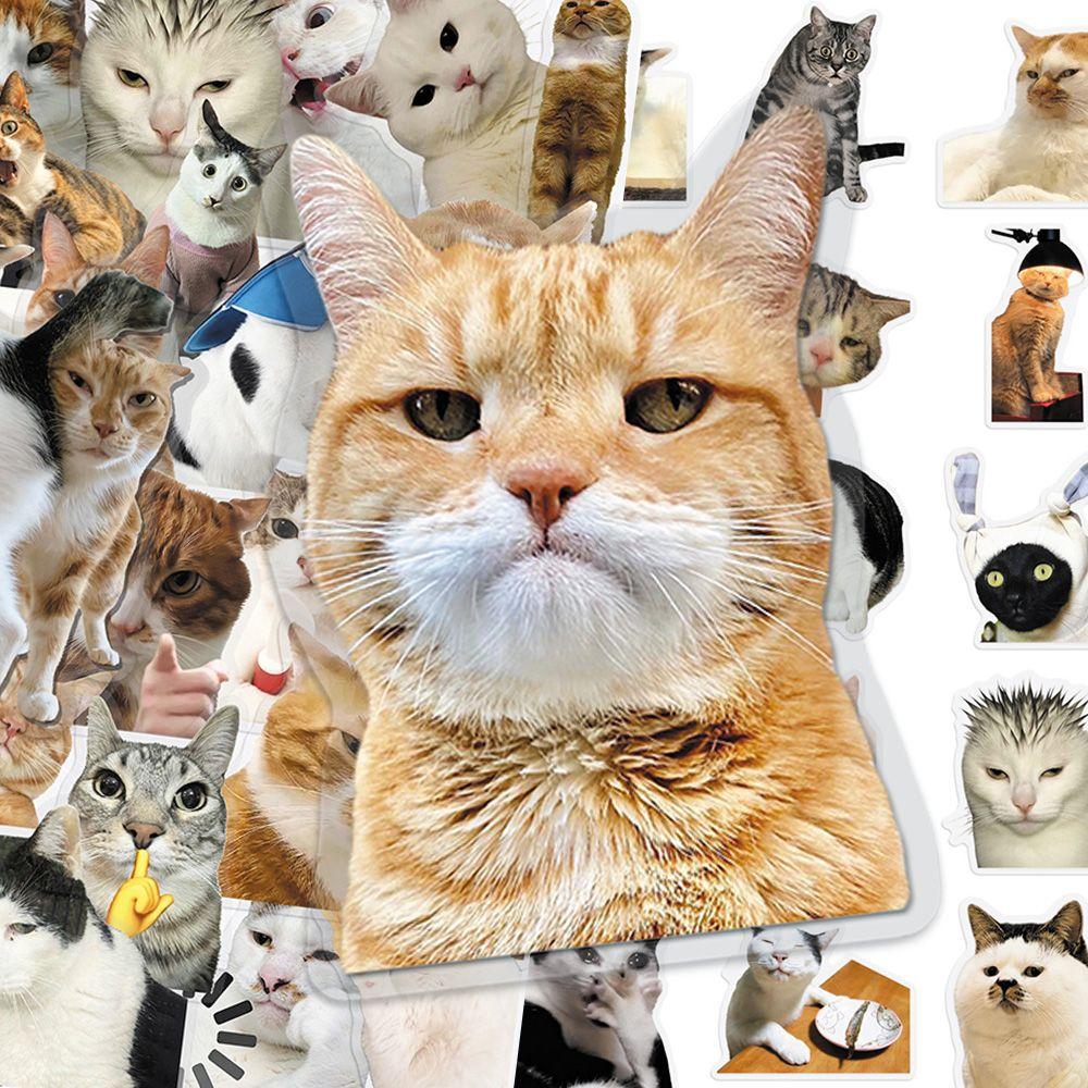 50 Pieces Cat PET Stickers Cute Realistic Cat Meme Emoji Decals Decorate Water Cups Stationery Suitcases Fridges Laptops Notebook Scrapbook