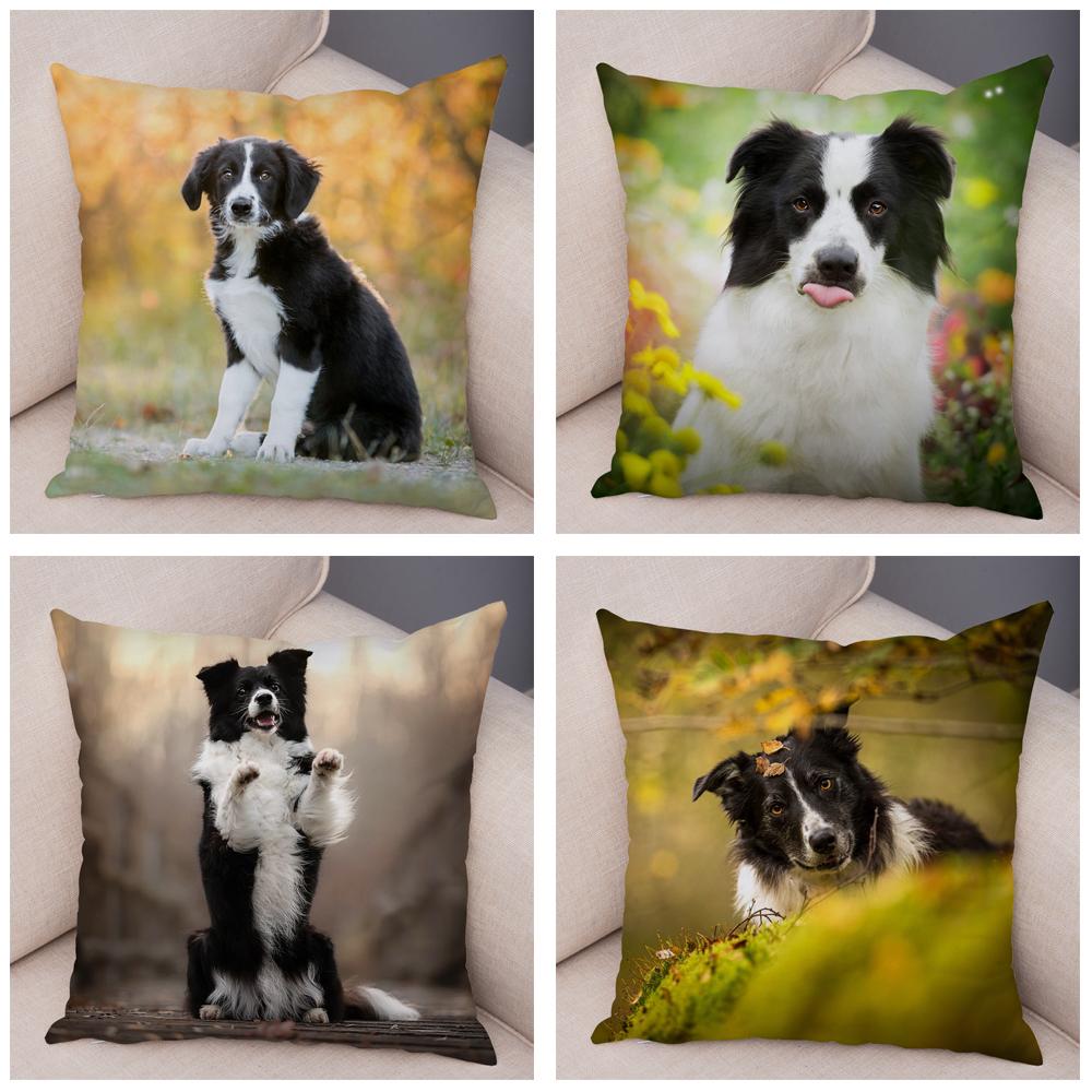 Милый питомец животное собака принт наволочка шотландский бордер колли подушка чехол диван украшение для автомобиля