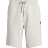 Polo Ss23 Логотип Вышитый Однотонные Спортивные Шорты Мужские Шорты Серые 710881520-003