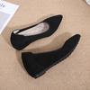 Shoes Spring and Autumn Flight Attendants Work Shoes Black Professional Work Comfortable Soft Soled Hotel Slope Follow Up Shoes