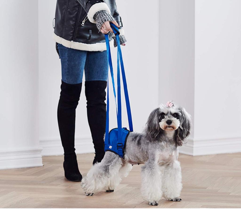Dog Harness for Nursing Walking For Elderly Rescue For Hind Come For Small Easy To Attach Walking, Care, Assistance, Aid, Dogs, Dogs, Legs, Doesn't