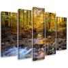 Five Piece Picture Canvas Print Forest Autumn Brook Nature