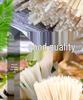 Authentic Guizhou Dry Rice Noodle Vermicelli - Instant Zunyi Lamb Specialty