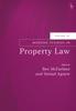 Книга Modern Studies In Property Law, Volume 10