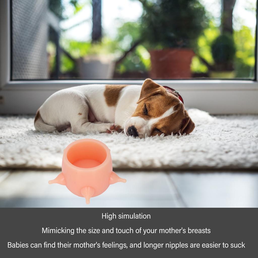 Kitten Milk Bowl Feeder Multipurpose High Simulation Reusable Soft Silicone Puppy Nursing Station for Kittens Puppies