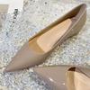 French Patent Leather Nude Pointed Single Shoes Women's Low Heel 2025 Spring and Autumn New Fashionable Versatile Light Mouth Thick Heel Flat Shoes