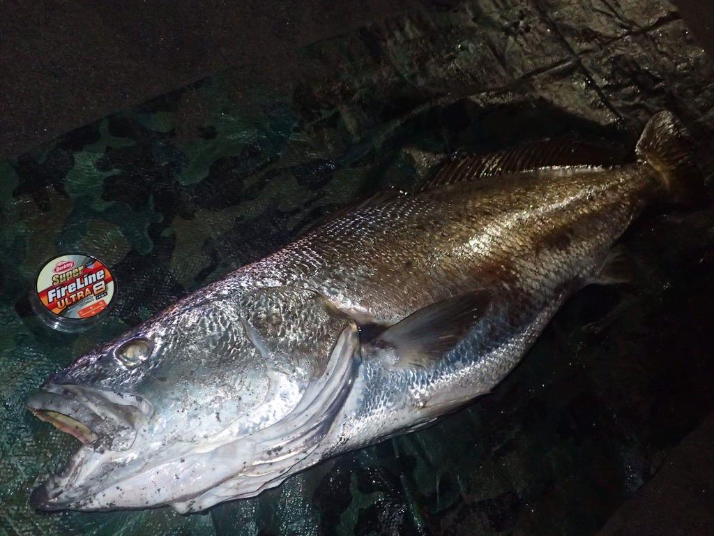 Berkley Super Fire Line Ultra 8 150m Crystal PE Line 1.0/16lb Line/Super Line/Seabas