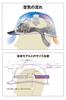 Шлем Tanizawa Seisakusho с забралом Airlight S Прозрачный корпус Темно-коричневый Прозрачный подбородочный ремень Технические характеристики Сотрудничество Tanizawa x GranGear