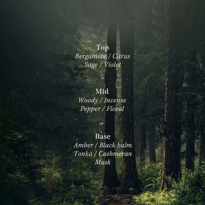 [Lador] Парфюмированный набор для ухода за волосами 380 мл