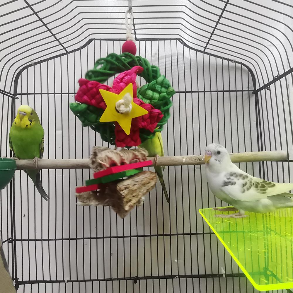 Vine Global Five-Pointed Star Bird Toy Colorful Dried Fruit Wood Block Hot Selling Cross-Border Pet Toy