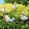 4Pcs Cute Ducks Mini Statue Garden Micro Landscape Ornaments Home Desk Farm Gardening Accessories Animal Figurine Decoration