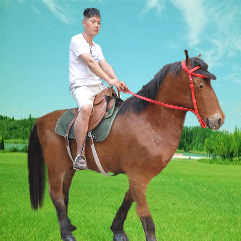 Ахалтекинский боевой конь Модель из натуральной кожи для выставок