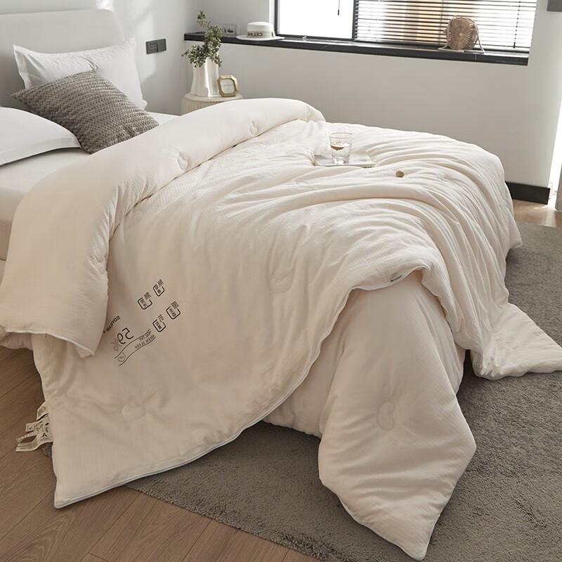 HodoHome Class A Soybean Fiber All-Season Duo Quilt