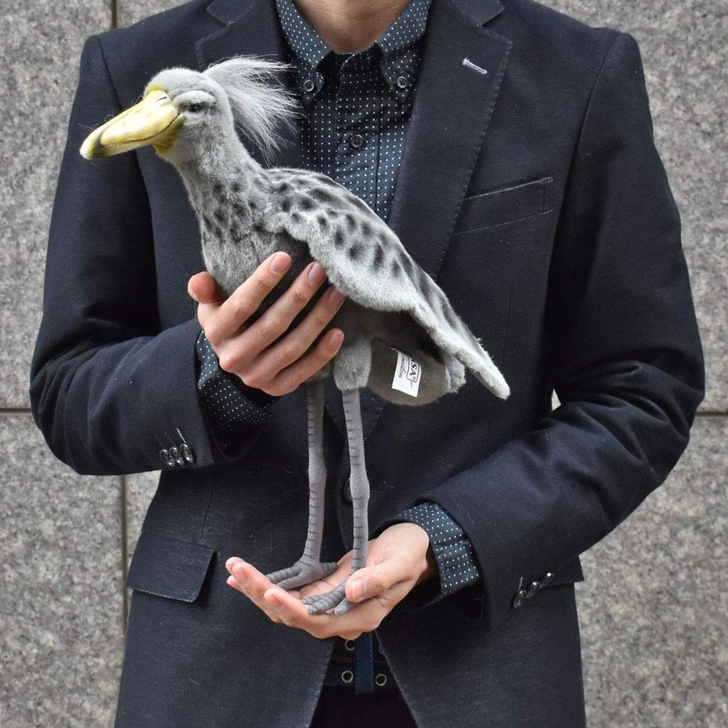 BH7640 HANSA Shoebill 35