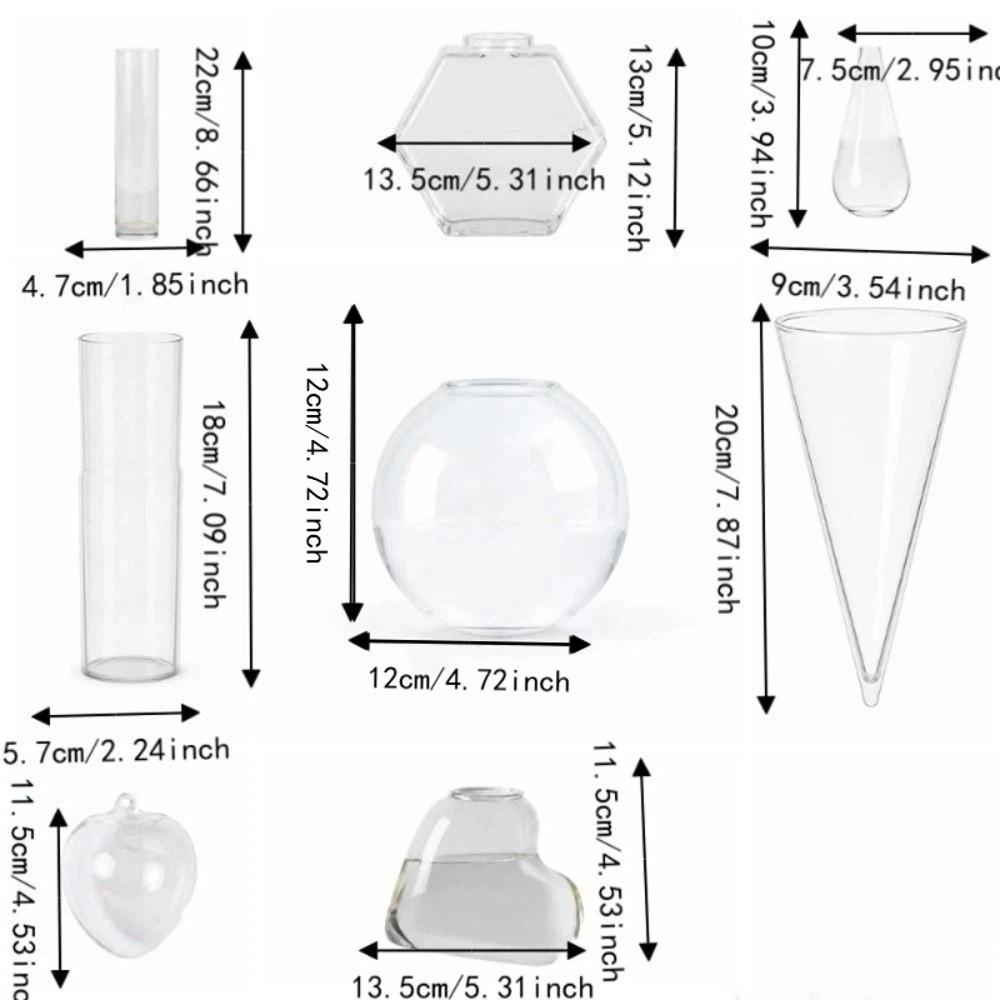 Vase Hydroponic Plant Holder Irregular Shape Wall Decoration Office Decoration