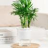 Removable Flowerpot Self Watering Mini Succulent Planter Light Luxury Tabletop Vase