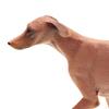 Фигурка собаки азавак, детальная модель щенка для демонстрации в гостиной и праздничного декора