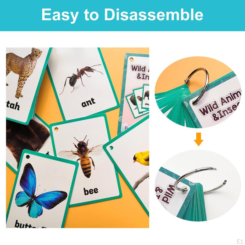 48x Animals Flash Cards Learning Toys Teaching Kids Gifts Memory Pocket English Flashcards for