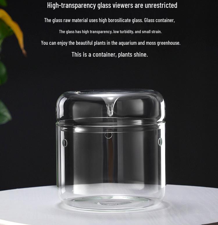 Dew Collection Mini Ecosystem: Moss Terrarium Glass Cover Decor