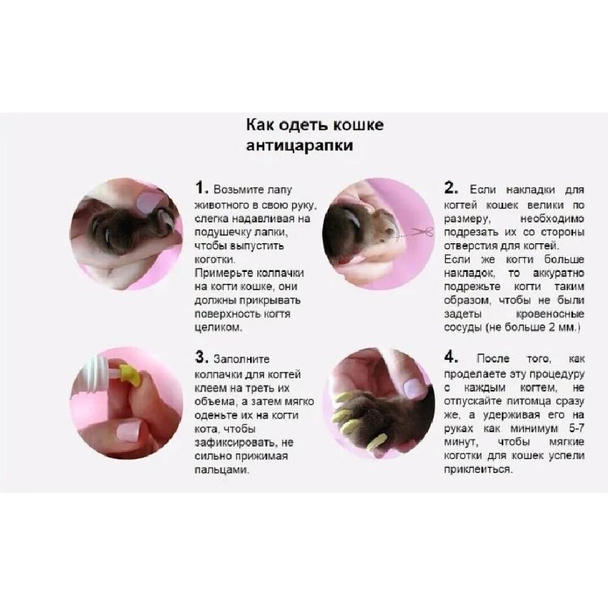 Cat Nail Caps Pet Cat Soft Paws Nail Protector Cover With Free Adhesive Glue + Applicator 20pcs/lot for Kitten