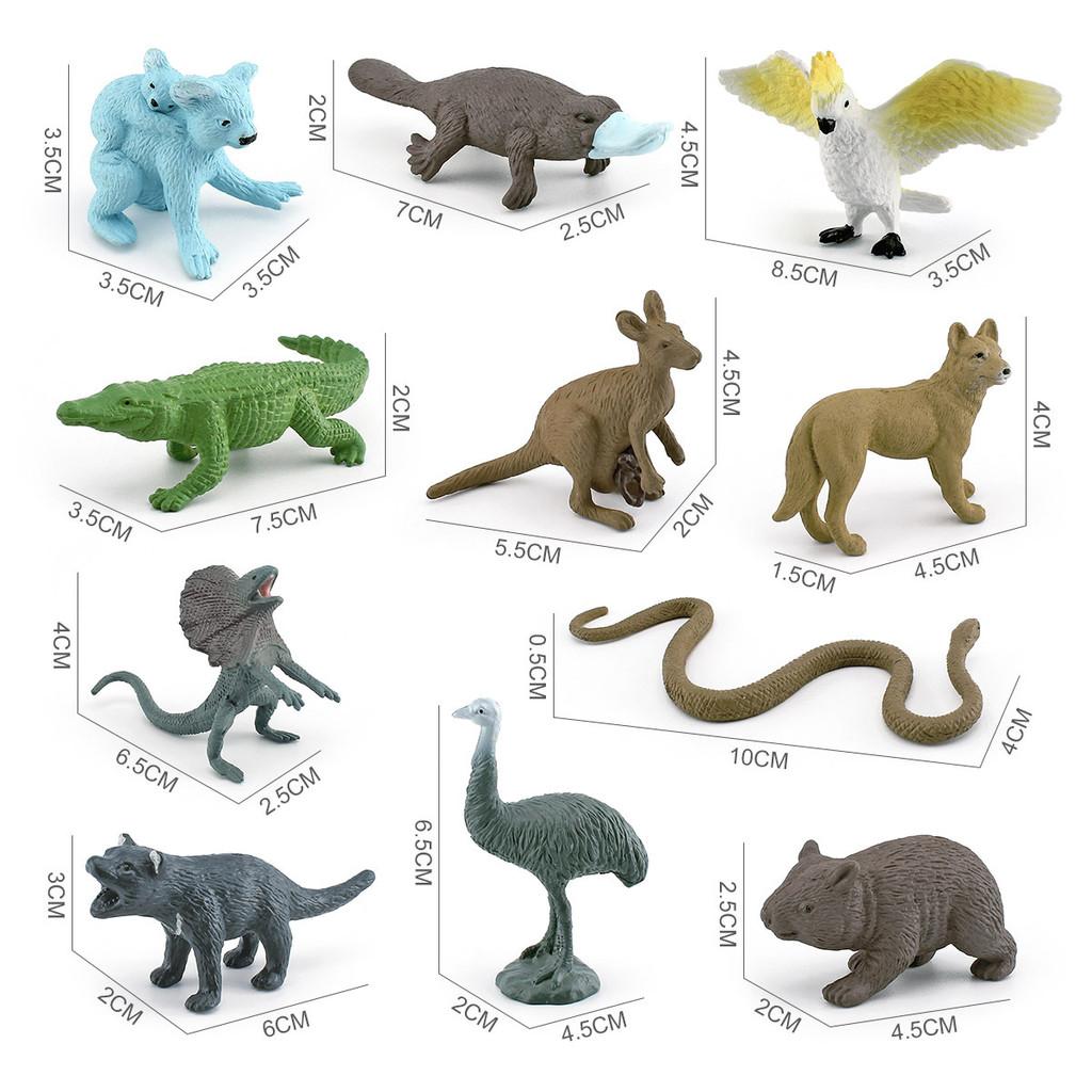 Australian Wildlife Pvc Platypus Platypus Koala Model Collection With Realistic Animal Figures For Nature Enthusiasts