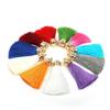 2Pcs Mix Color Silk Satin Tassel Charm Necklace Earring Findings Tassels For Jewelry Making Gold Caps Mob Straps