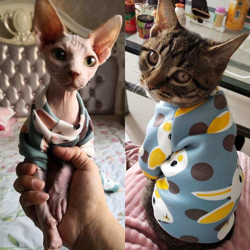 Толстовка для котика, с принтом кролик