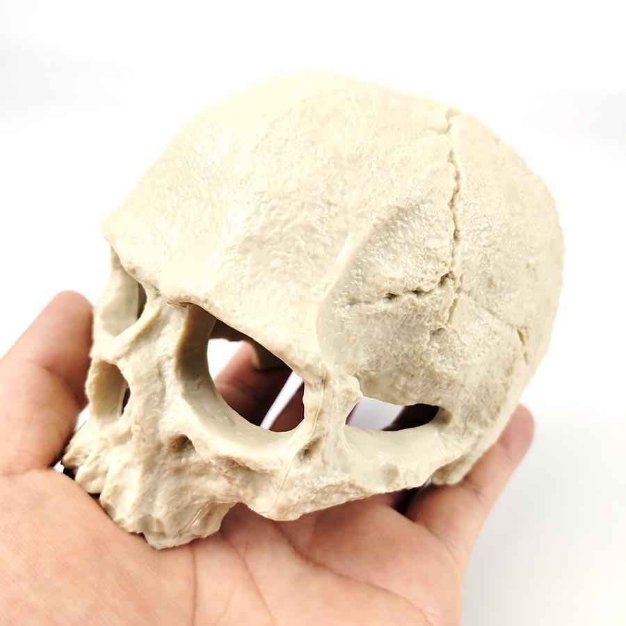 1 Set Resin Skull Aquarium Decor – Fish, Shrimp & Reptile Breeding Cave with Built-in Bubbler Stone for Oxygenation | Halloween Fish Tank Ornament