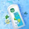 Dettol Moisturizing Mint Cool Shower Gel