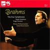 CD JOHANNES BRAHMS : CARLO MARIA GIULI - Complete Symphonies 8802063 Newton Classics 2011 Japan Classical Used