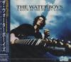 CD WATERBOYS - A Rock In The Weary Land BVCP21154PROMO RCA 2000 Япония ОбиРок Б/У