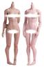 HiPlay Worldbox 1/6 Scale Female Body, Super Articulated Figure Doll (Standard Body Type AT201 (Suntan Skin)) (Suntan Skin)