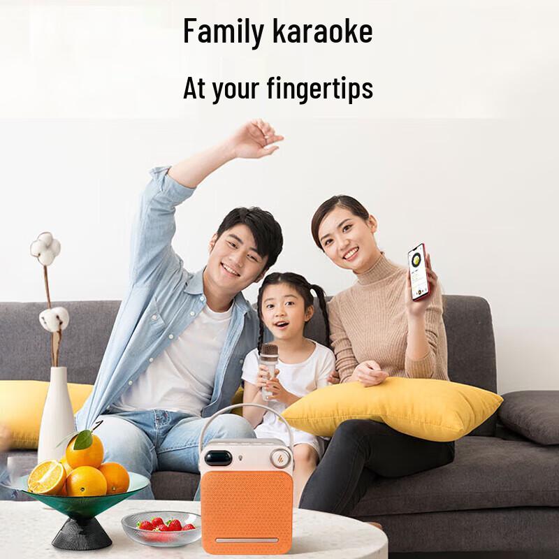 Edifier PP203 Portable Karaoke Bluetooth Speaker