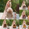 Toy Marmots Plush Keychain Children Function Collectible Bag Accessory Doll Gift