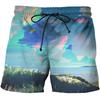 Art Drawing 3D Digital Printing Summer New Men's Beach Pants Loose Shorts