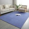 2025 Carpet Living Room Simple Modern Bedroom Plush Carpet Nordic Tatami Carpet