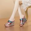 Rainbow Slope Heel Fish Mouth Cool Slippers Women's Summer 2025 New Waterproof Platform Thick Bottom Super High Heel Leather Slippers Women