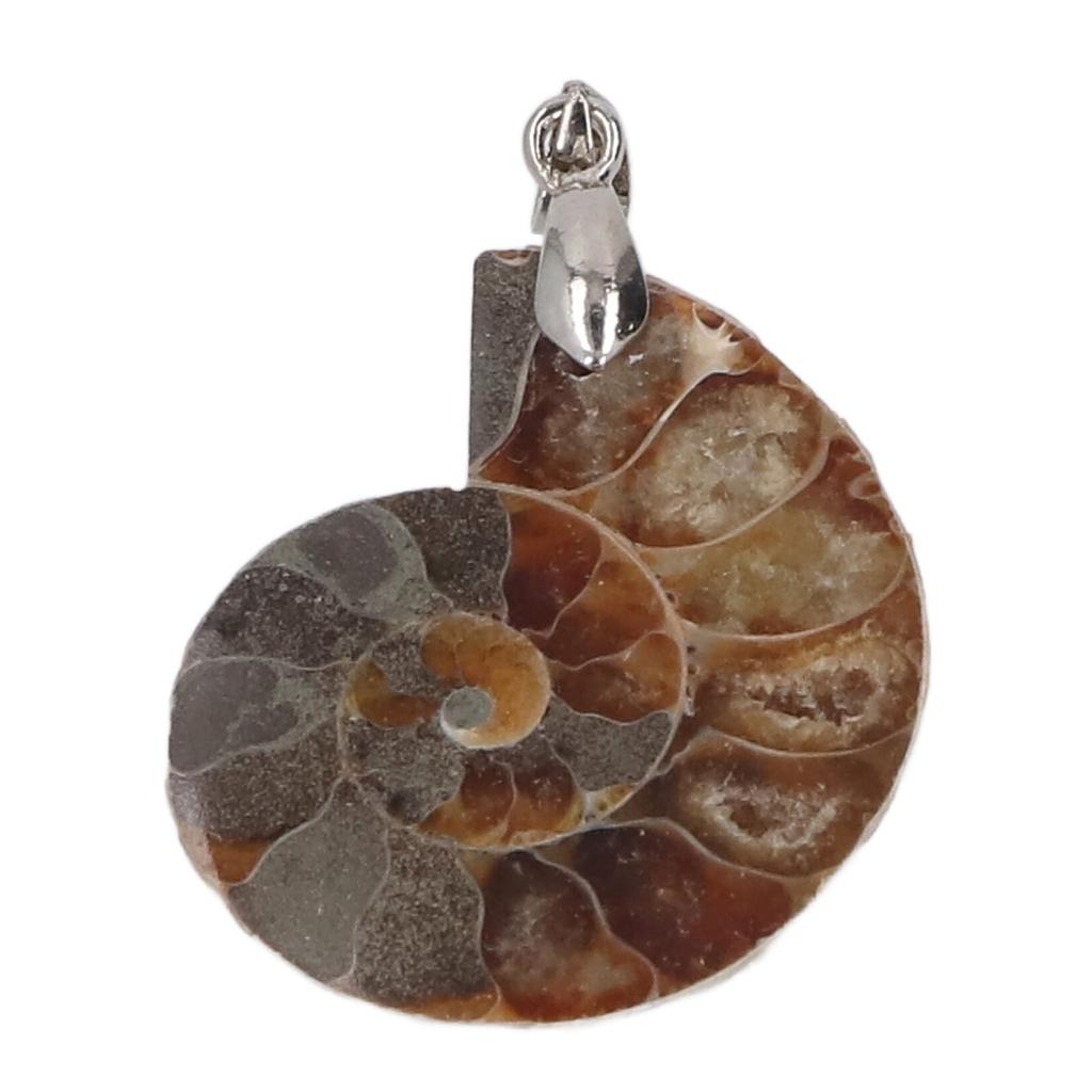 Подвеска из ракушки аммонита, ручная работа, винтажная подвеска из натурального аммонита для женщин и мужчин, подарок