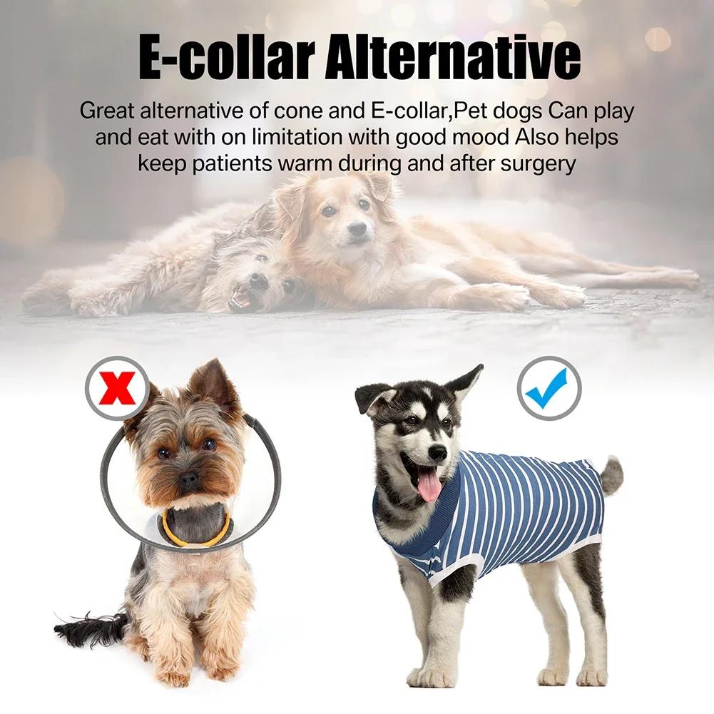 Pet Sterilization Surgery Suit Pet Dog T-shirt Dog Vest Clothes for Small Dogs French Bulldog Puppy Cat Suit Clothing