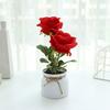 1 Набор Имитация Цветка Износостойкий Пластик Вечный Искусственный Цветочный Горшок