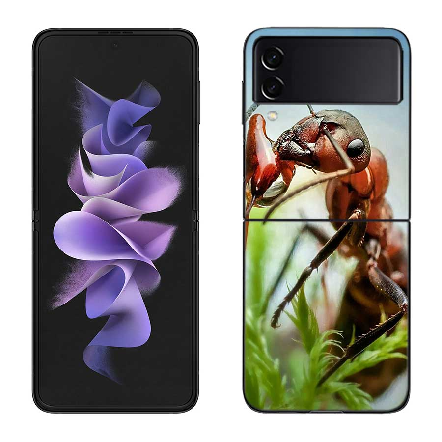 Красные Огненные Муравьи, Рабочие Муравьи Чехол для Телефона для Samsung Z Flip 7 6 5G Galaxy Z Flip 5 4 3 Черный Жесткий Чехол Роскошный ПК Корпус Coque