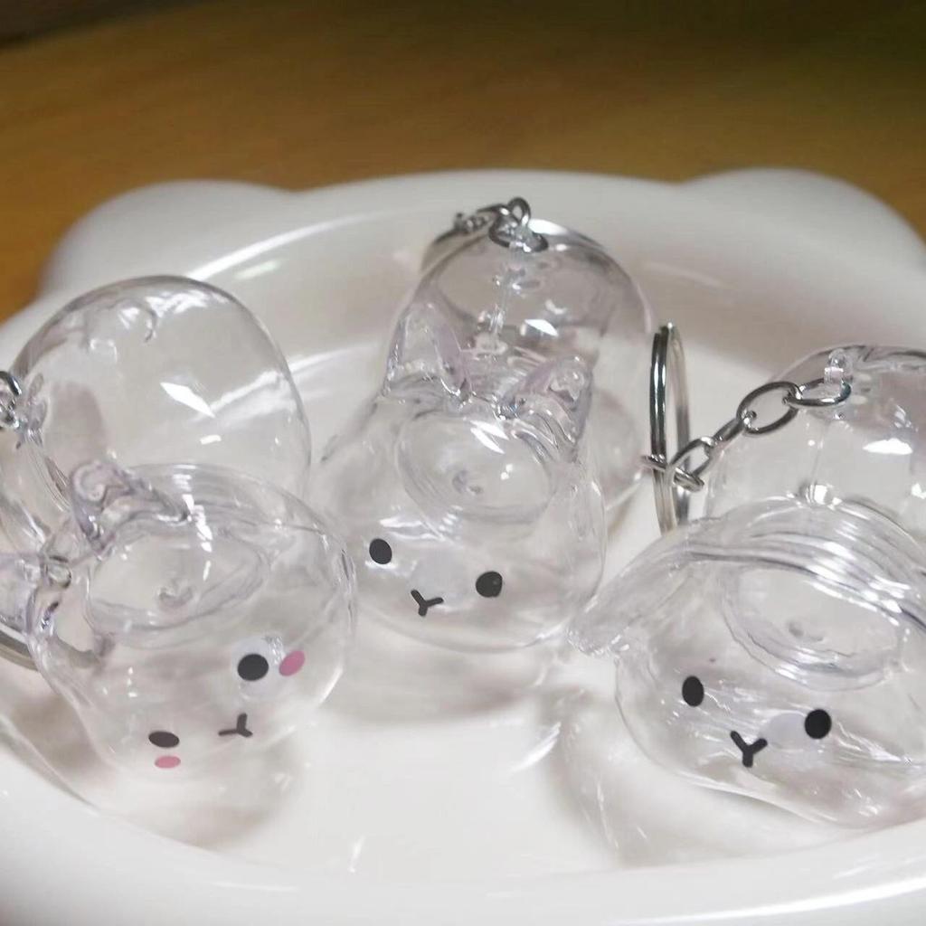Clear Rabbit Shape Pet Hair Memorial Keychain Portable Keepsakes Storage Box Pendant With Tweezer For Pet Owners Gift