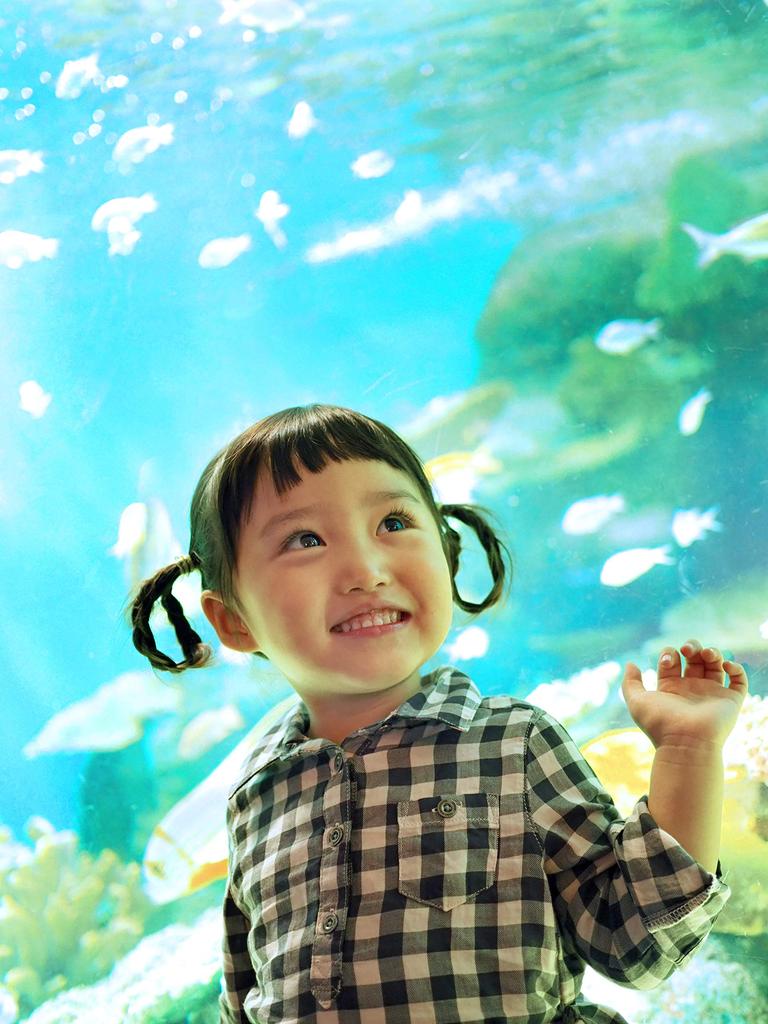 Беззеркальная однообъективная камера OLYMPUS MarkIII EZ Double Zoom Kit Silver OM-D E-M10