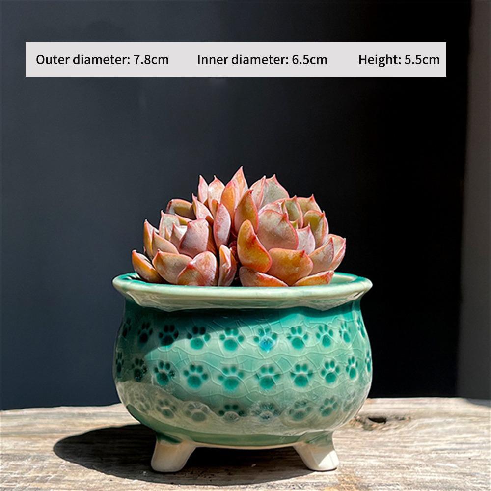 Breathable Pottery Basin Creative Meat Flower Pot Cat Claw Ceramics Draining Hole Flower Decorative Ceramic Flowerpot Flowerpot